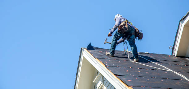 Best Storm Damage Roof Repair  in Millington, TN